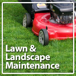 Lawn maintenance
