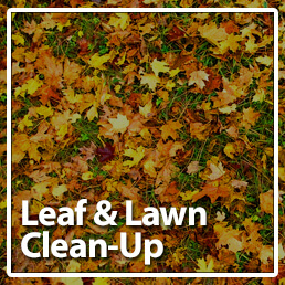 leaf clean up 