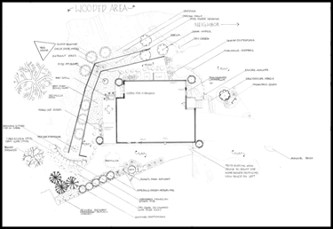 landscape design installation sketch