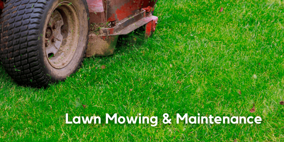 lawn mowing & maintenance