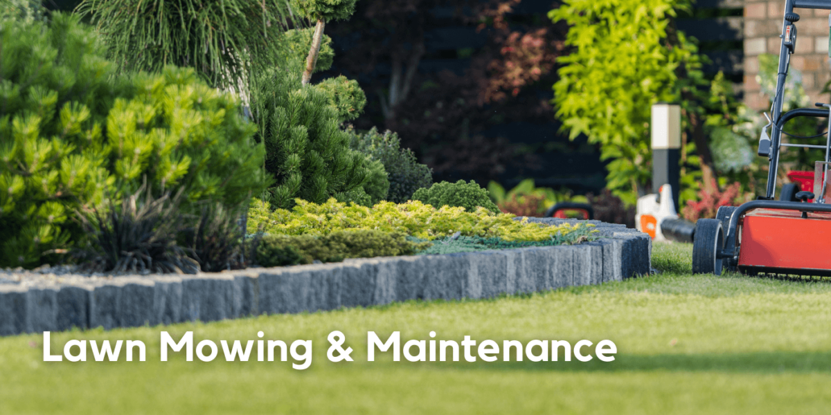 professional lawn mowing services