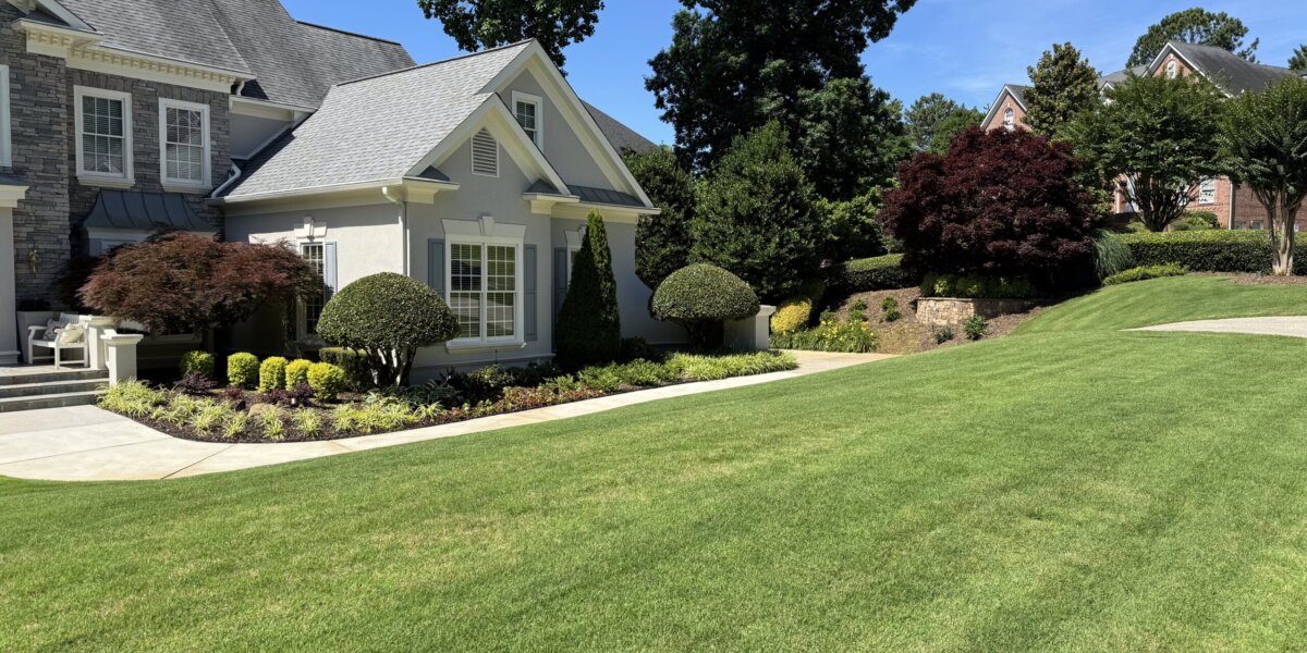 IMG 20260204 145318 scaled